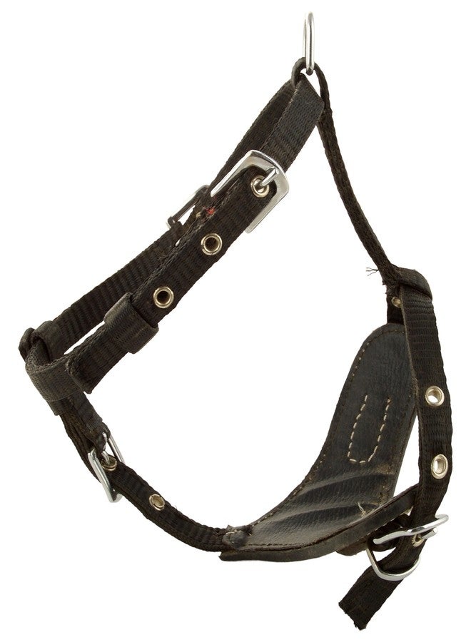 Skora Dog Puppy Harness, 32 x 19 inch - Image 1